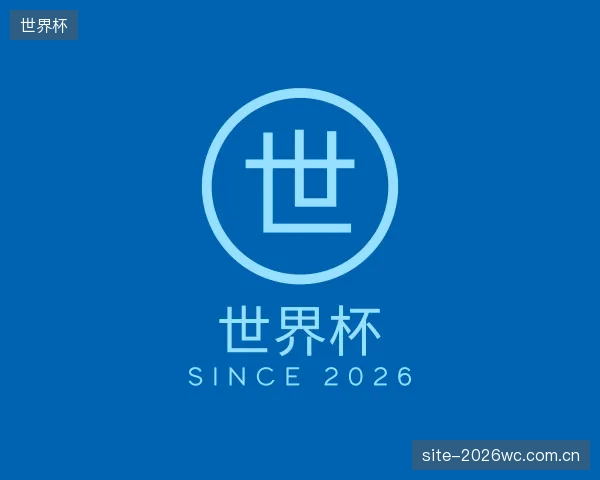 关于世界杯平台